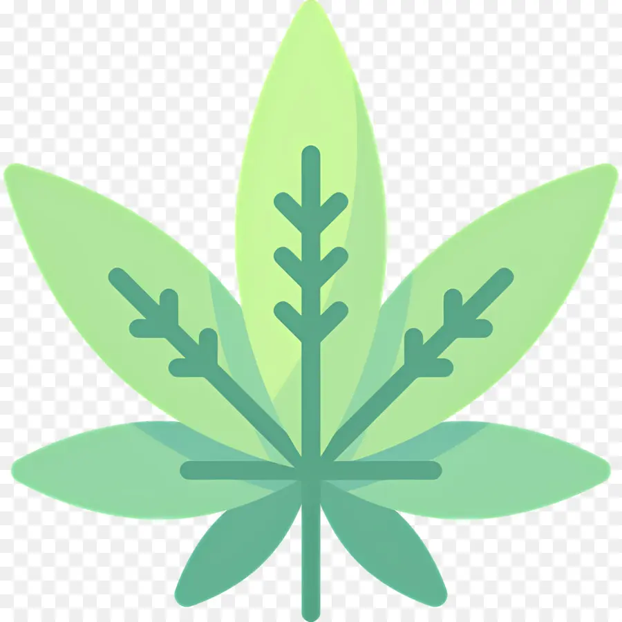 Folha De Cannabis，Folha Verde PNG