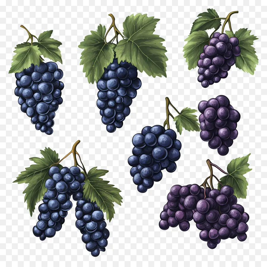 Cacho De Uvas，Uvas PNG