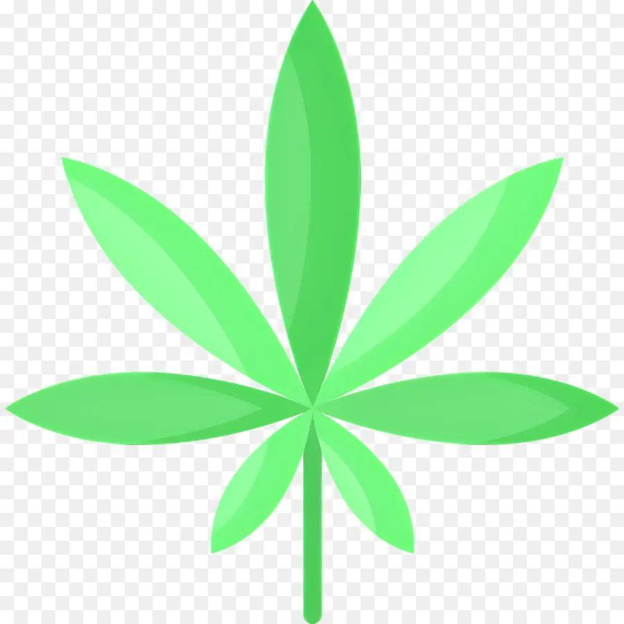 Folha De Maconha，Folha PNG