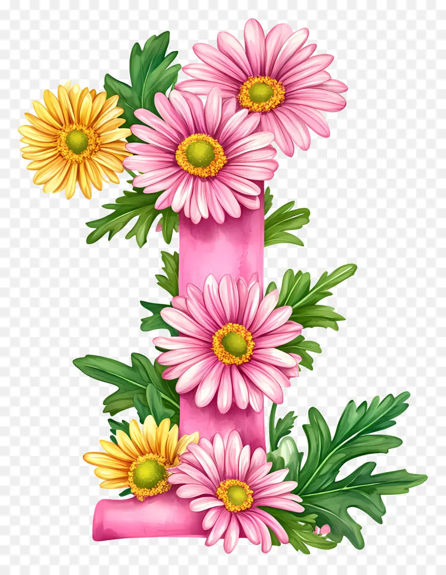 Flores De Margarida，Número Um PNG