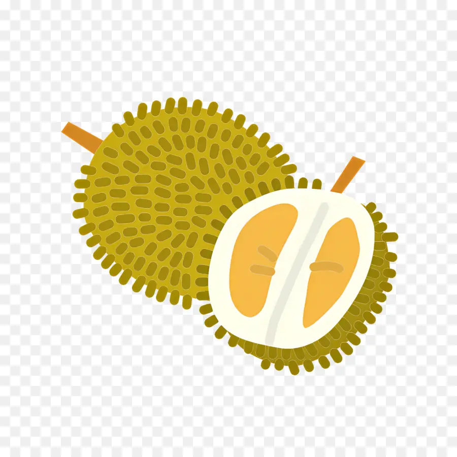 Durião，Fruta Durian PNG