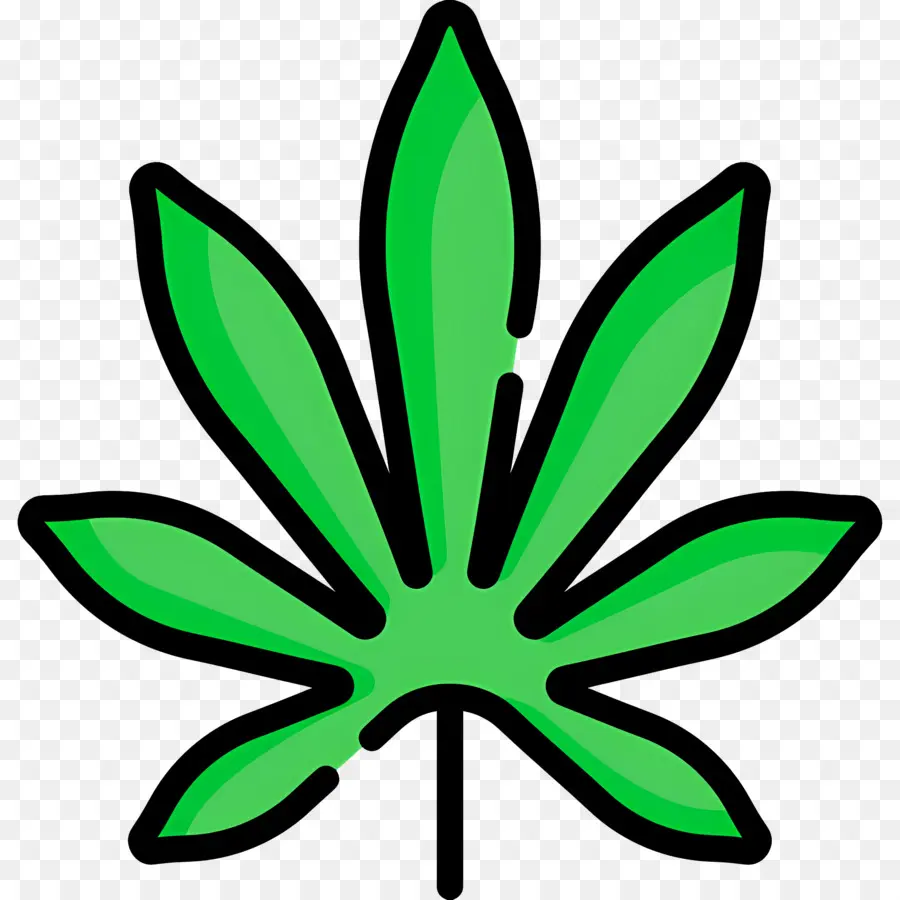 Folha De Cannabis，Folha Verde PNG