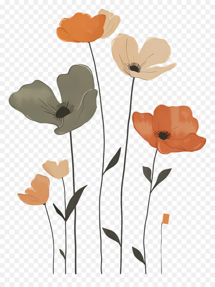 Buquês，Flores Coloridas PNG