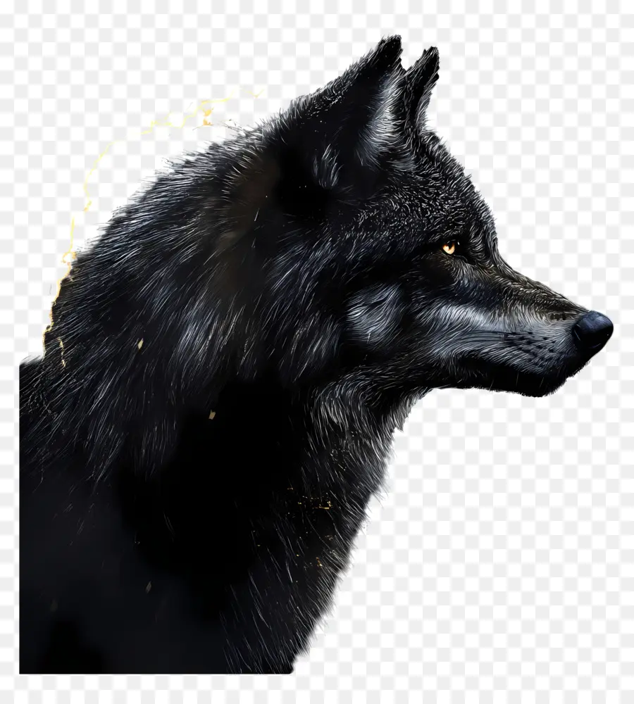 Fantasia Lobo，Lobo PNG