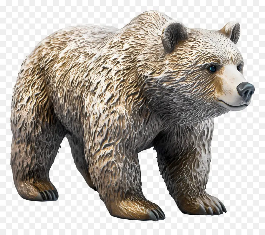 Urso Pardo，Urso PNG