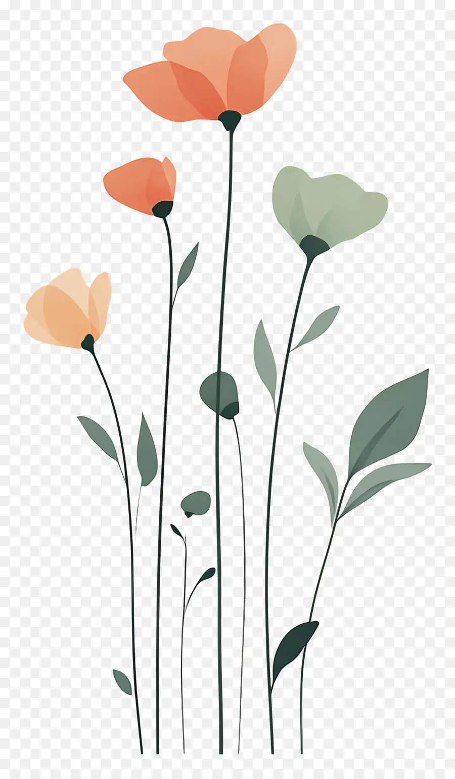 Buquês，Flores Coloridas PNG