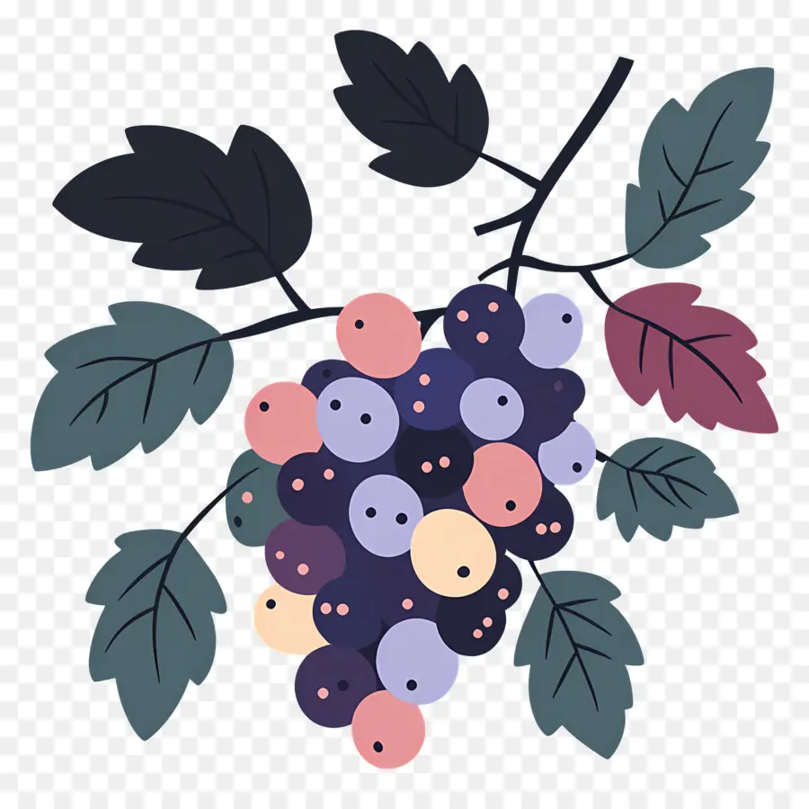 Cacho De Uvas，Uvas PNG