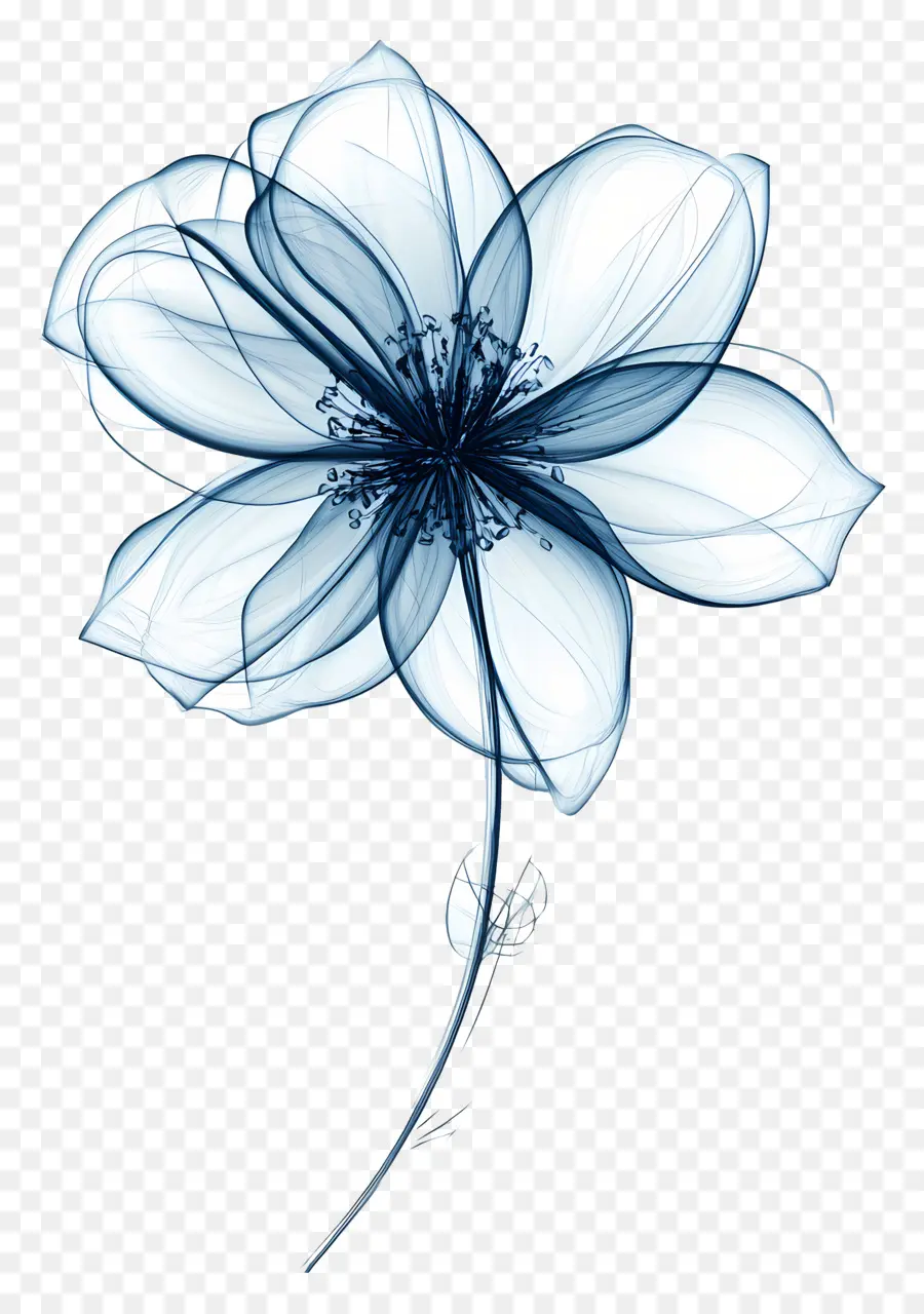 Flor De Linha，Flor Azul Transparente PNG