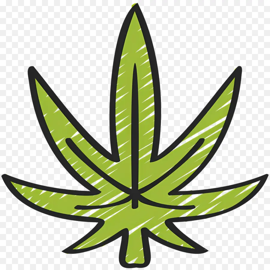 Folha De Cannabis，Folha Verde PNG