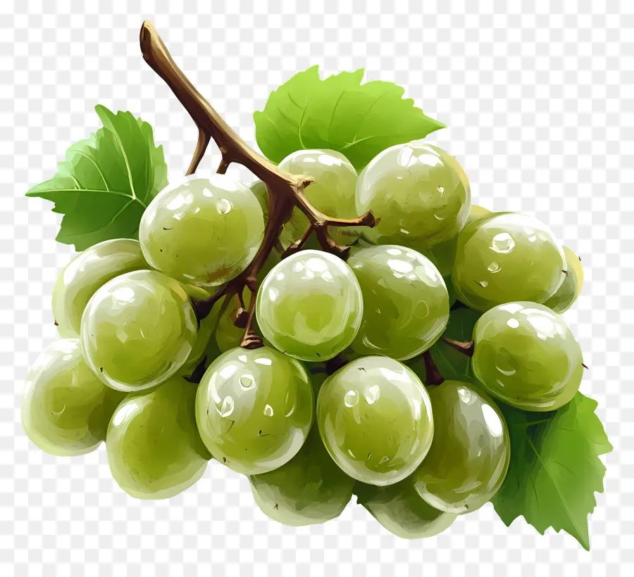 Uva Verde，Uvas PNG