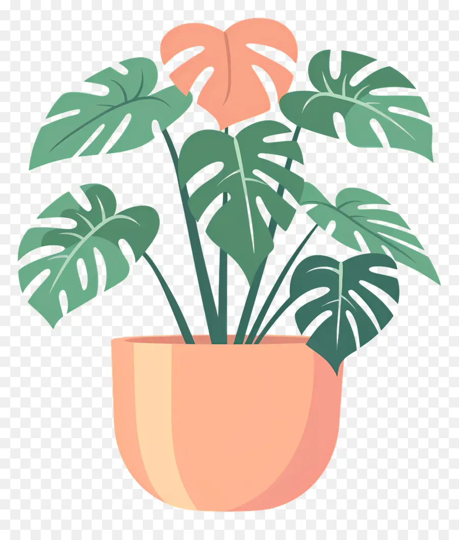 Planta Monstro，Planta Em Vaso PNG