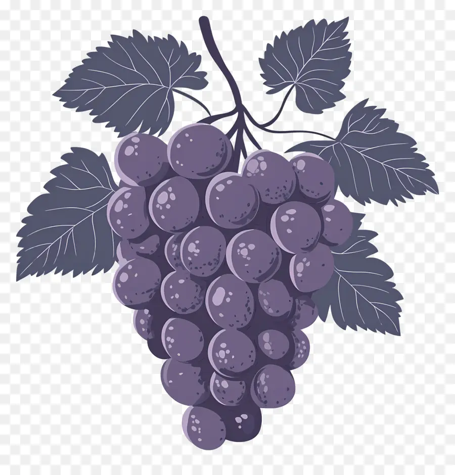 Cacho De Uvas，Uvas PNG