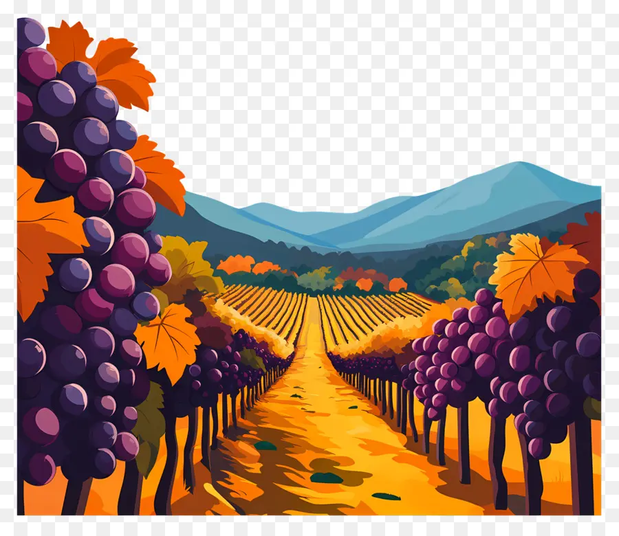 Vinhedo，Uvas PNG