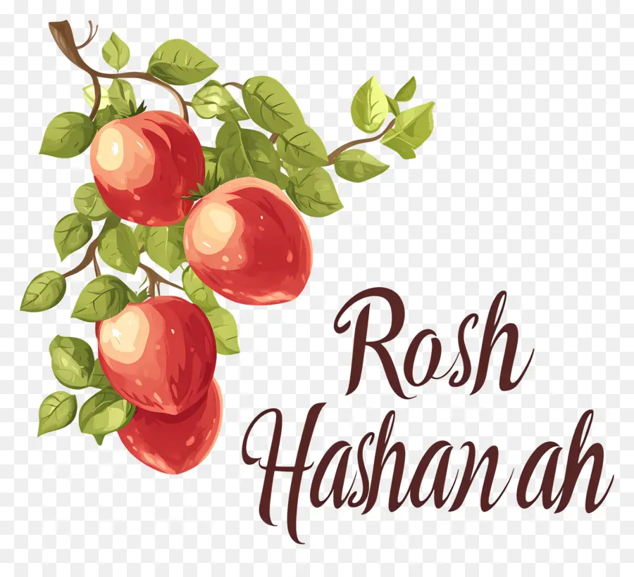 Rosh Hashaná，Maçãs PNG