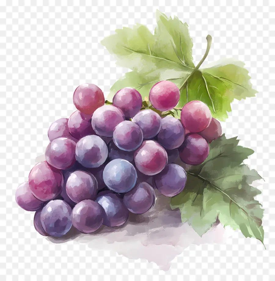 Cacho De Uva，Uvas PNG