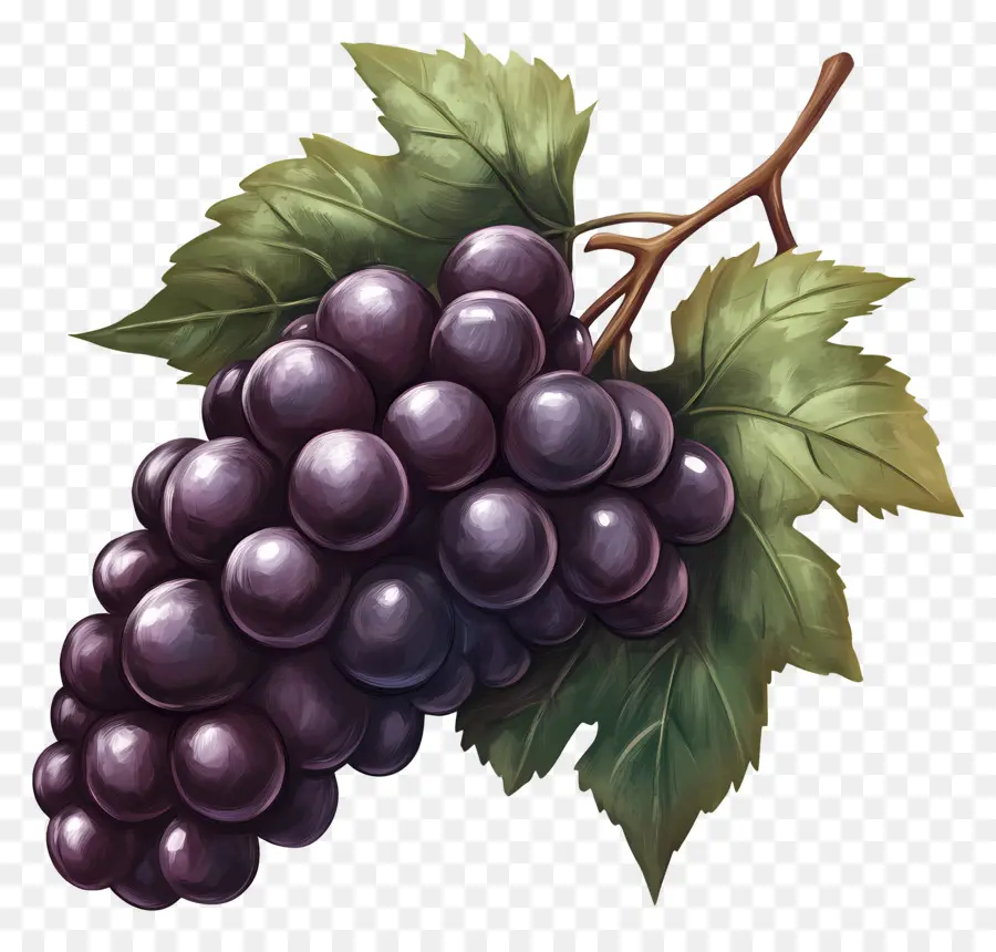 Cacho De Uva，Uvas PNG