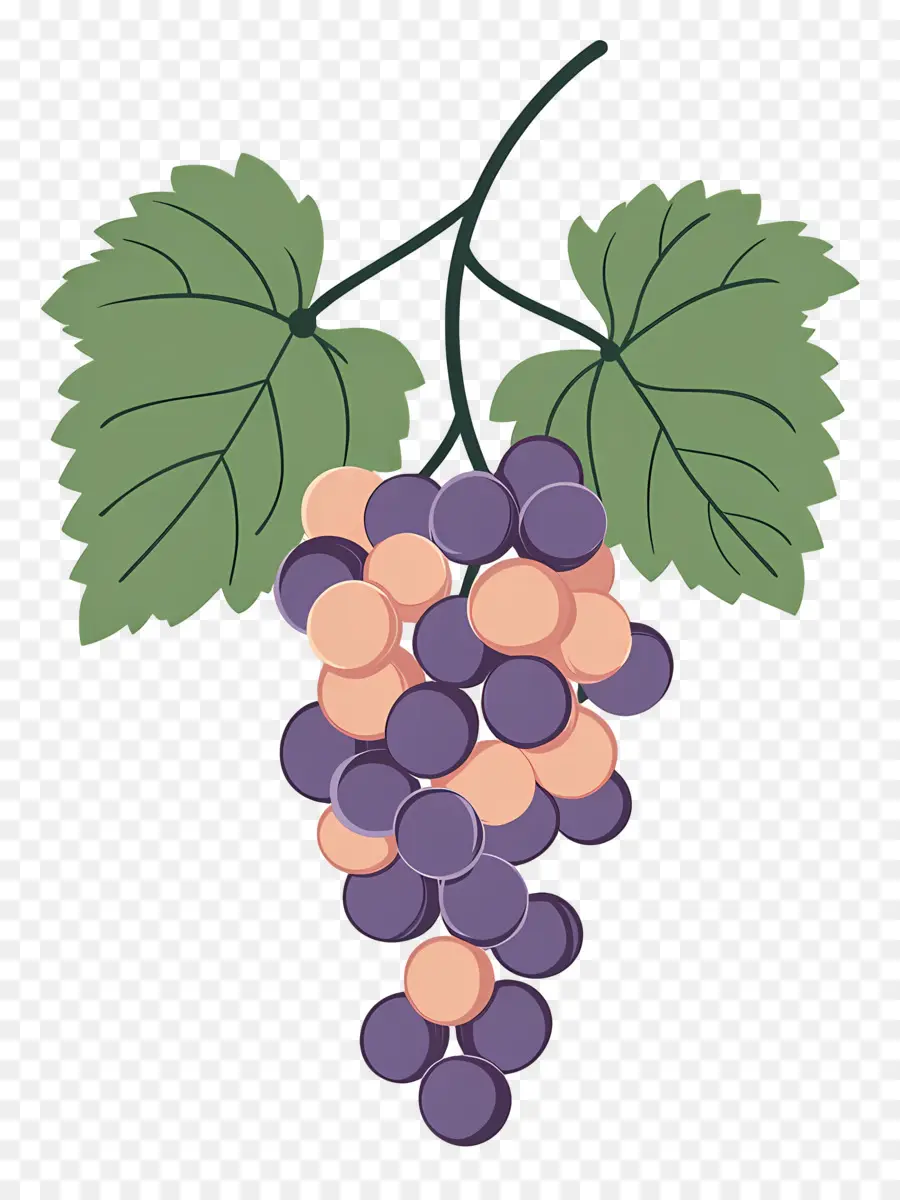 Cacho De Uvas，Uvas PNG