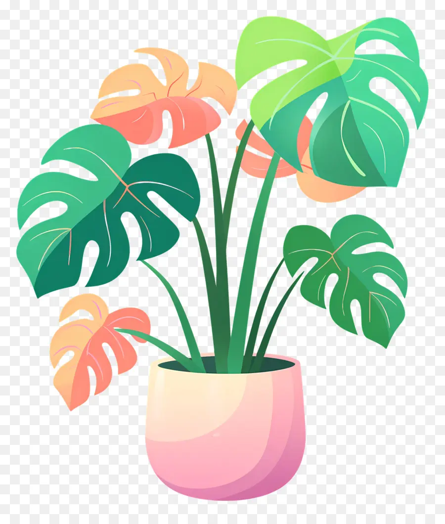 Planta Monstro，Plantar PNG