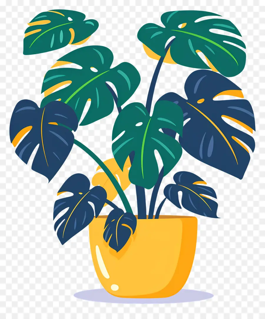 Planta Monstro，Planta Em Vaso PNG