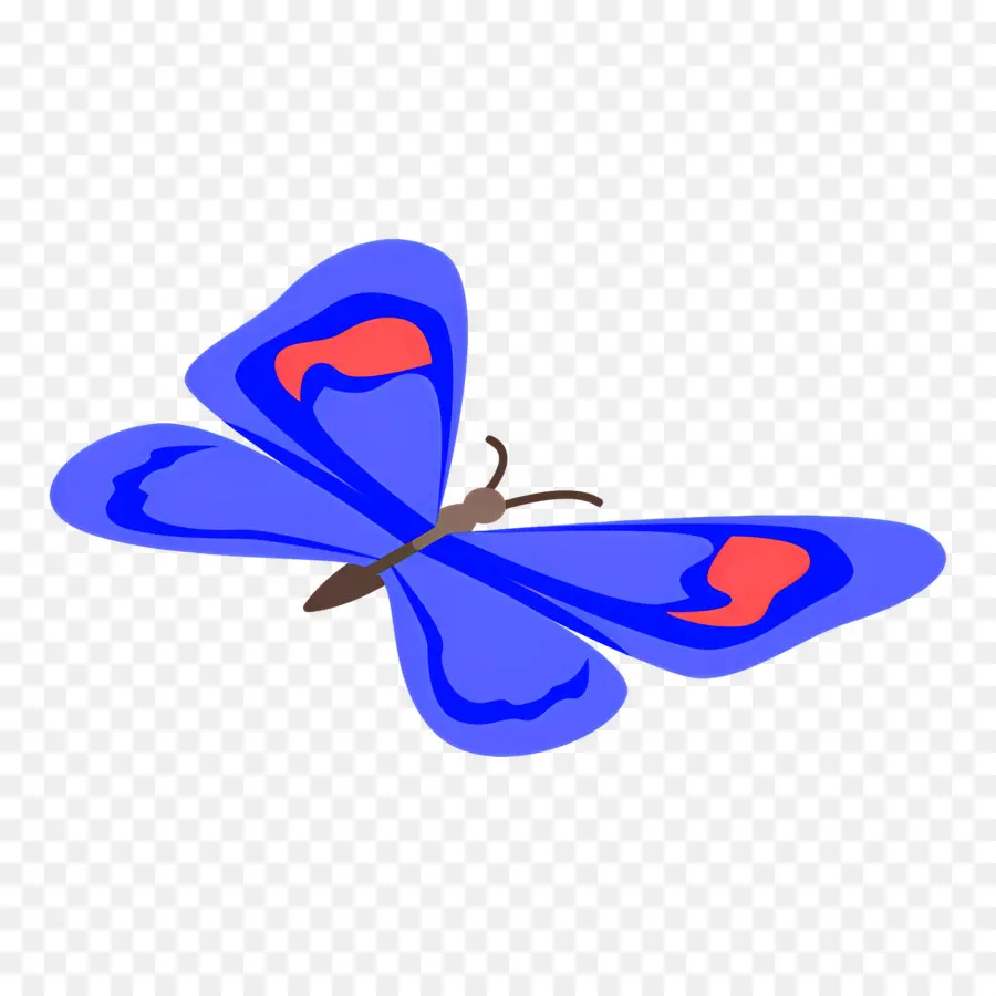 Borboleta Azul，Asas PNG