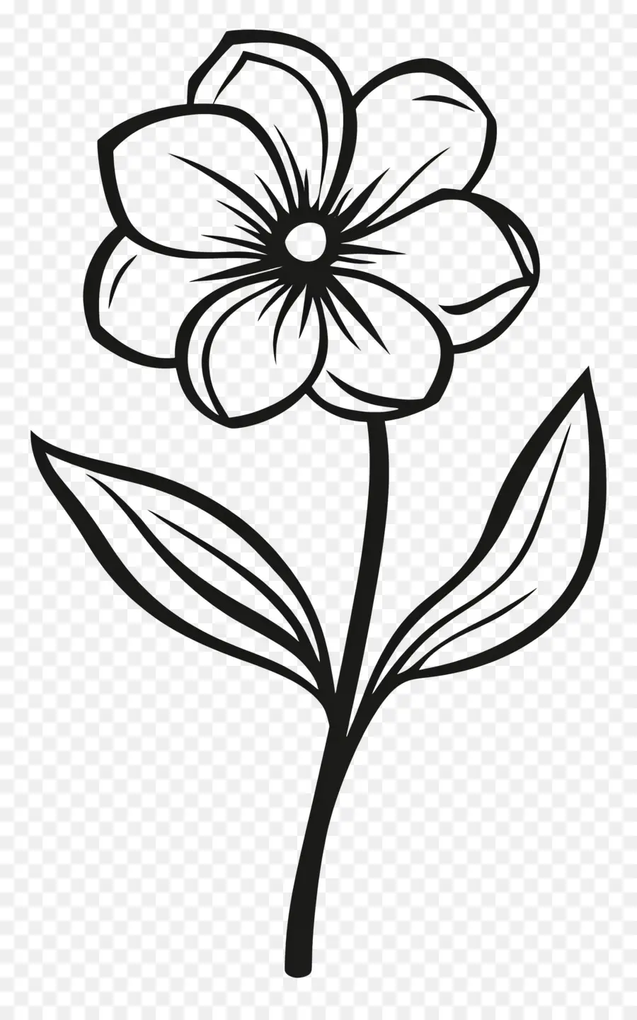 Flor De Linha，Flor De Desenho De Linha PNG