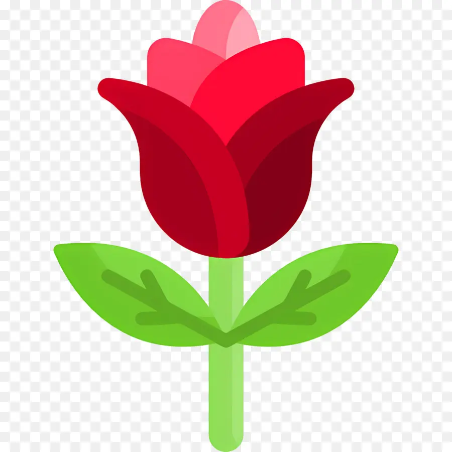 Flor Rosa，Rosa PNG