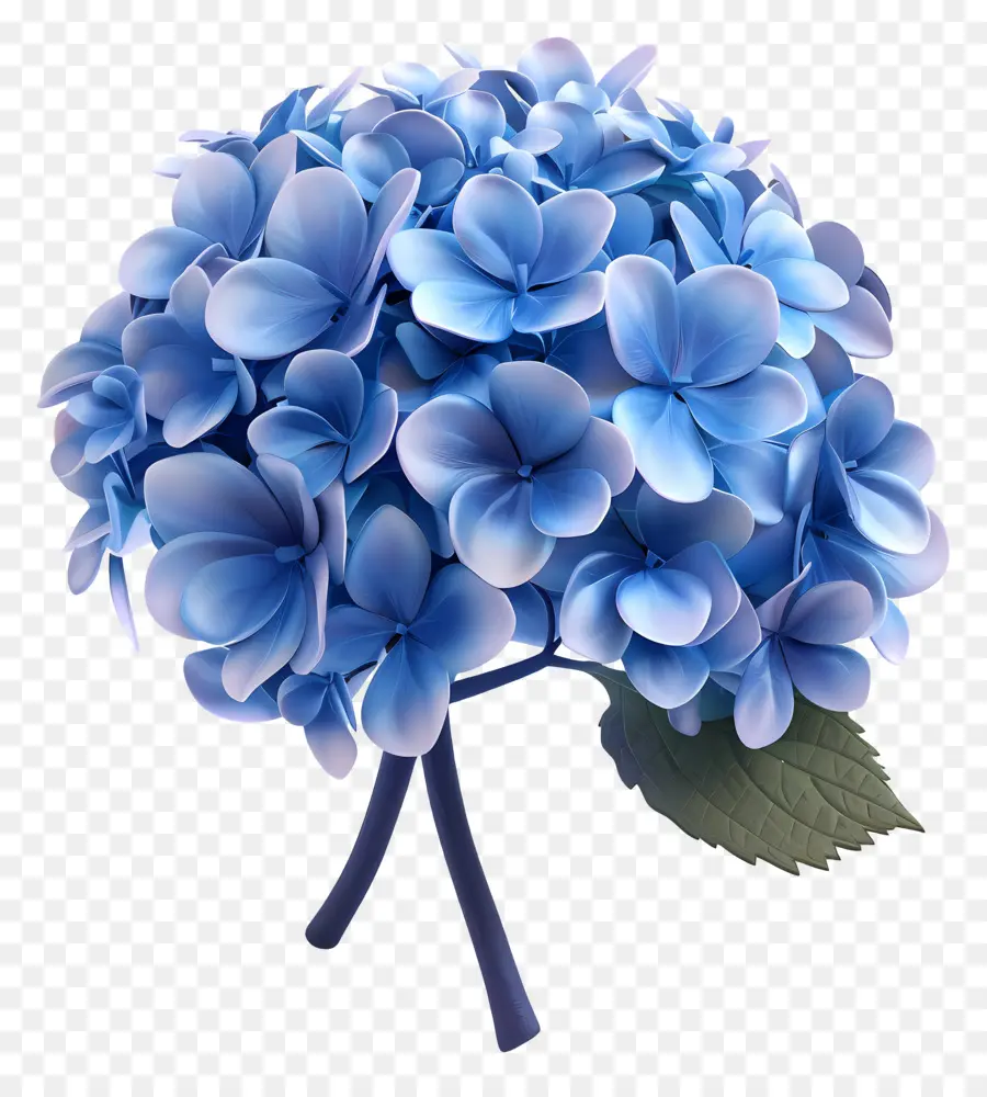 Flor De Hortênsia Modelo 3d，Hortênsia Azul PNG