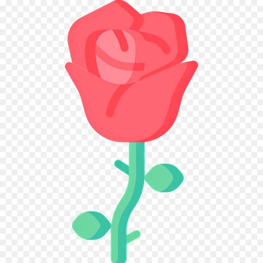 Flor Rosa，Rosa Vermelha PNG