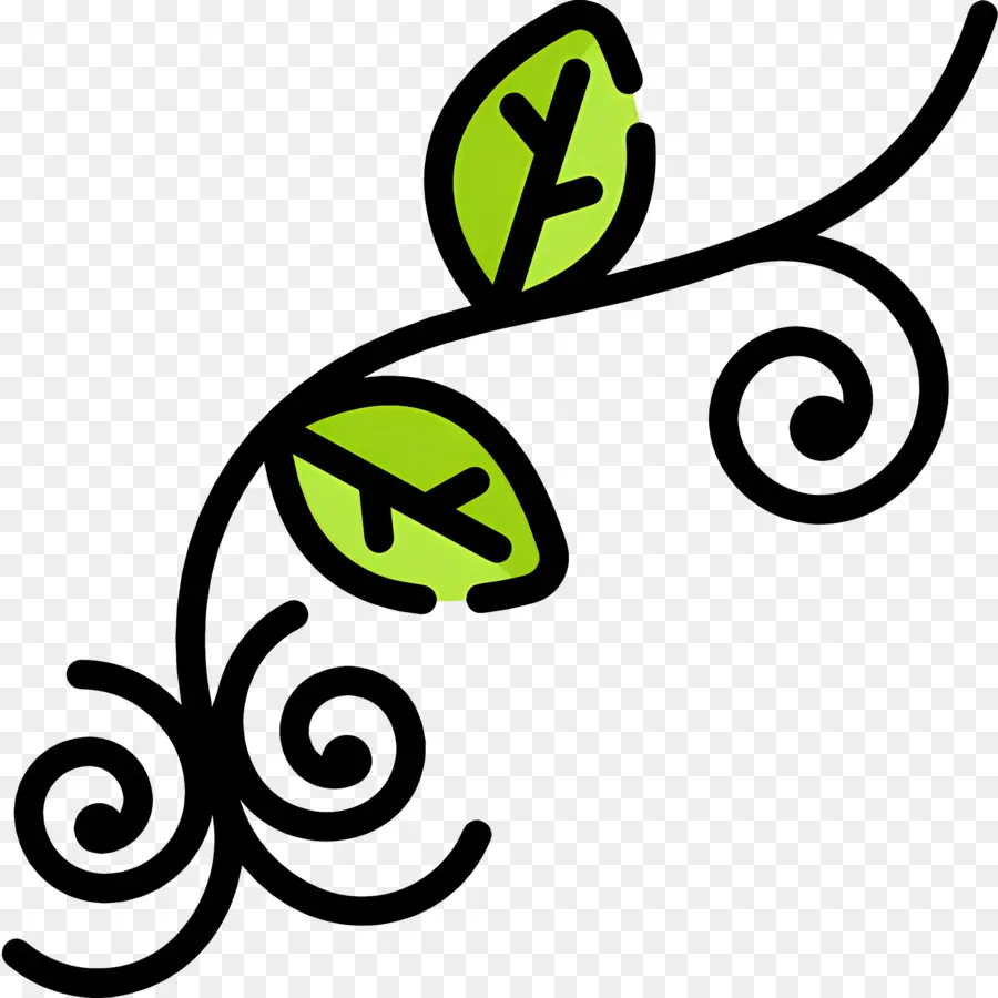 Videira De Flores，Folhas Verdes PNG