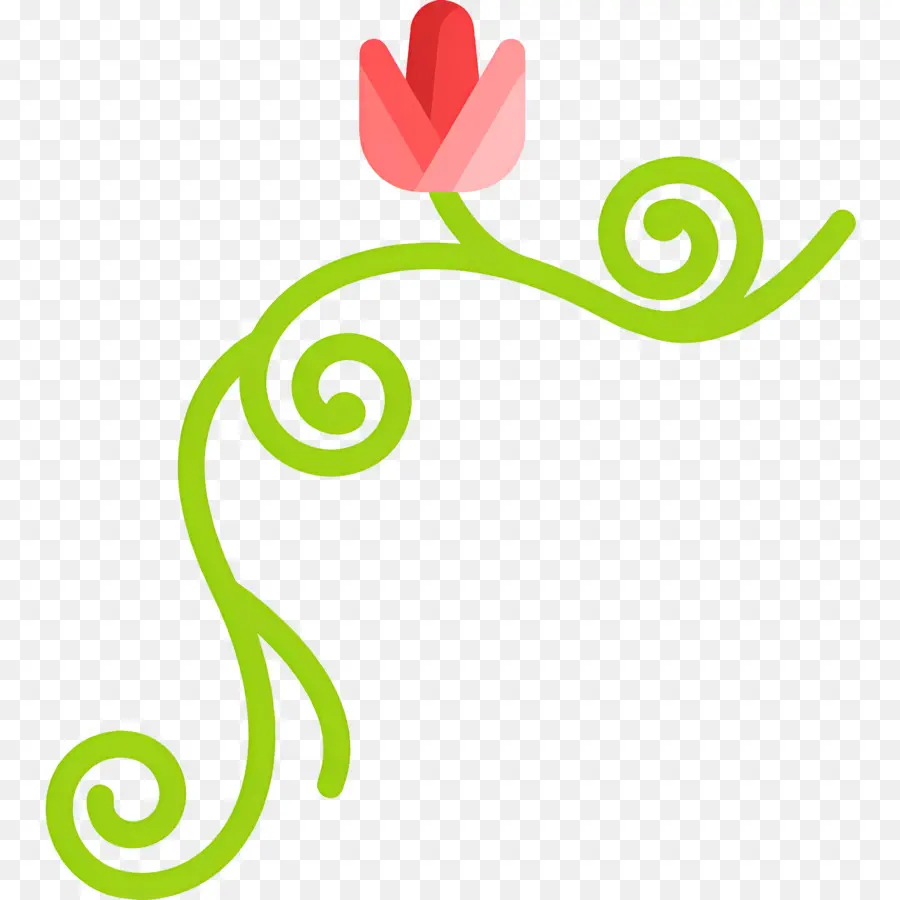 Videira De Flores，Videira Flor PNG