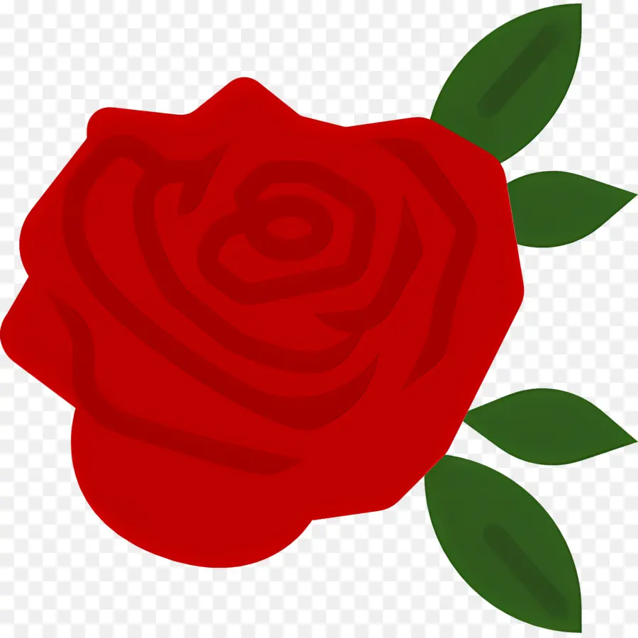 Flor Vermelha，Rosa Vermelha PNG