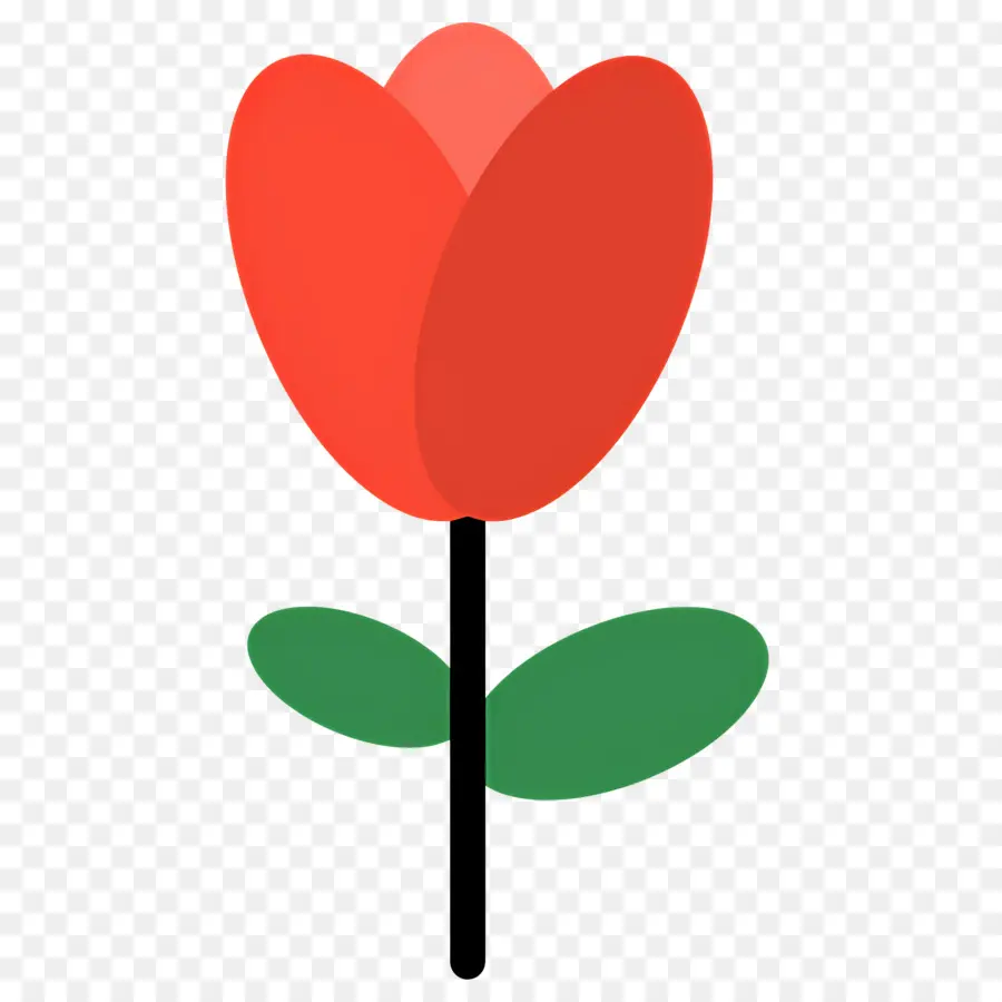 Flor Rosa，Tulipa Vermelha PNG