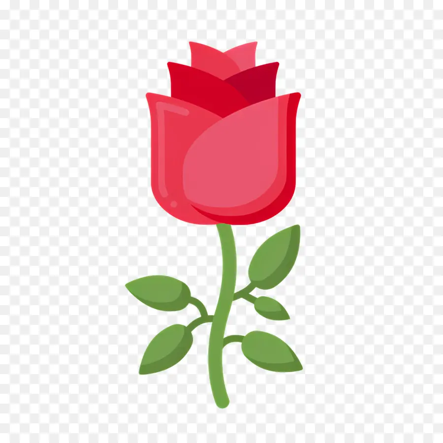 Flor Rosa，Rosa Vermelha PNG