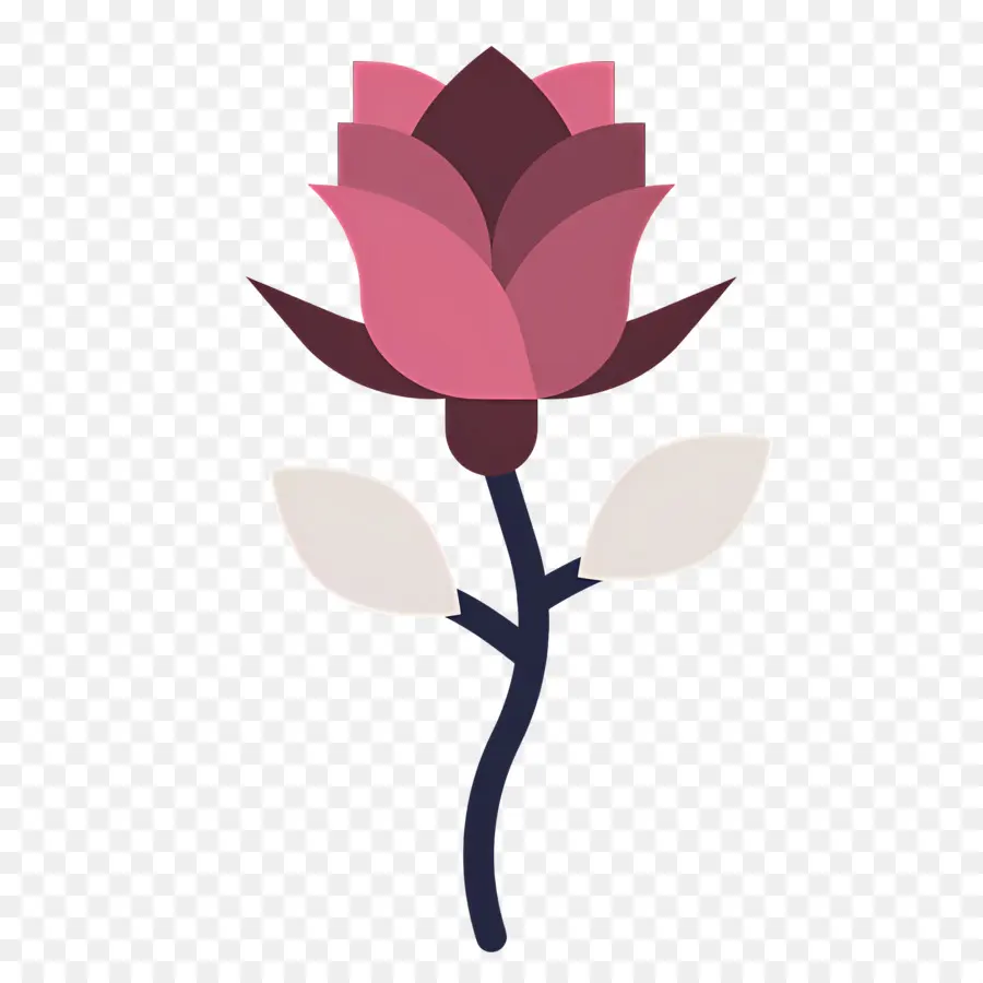 Flor Rosa，Rosa PNG