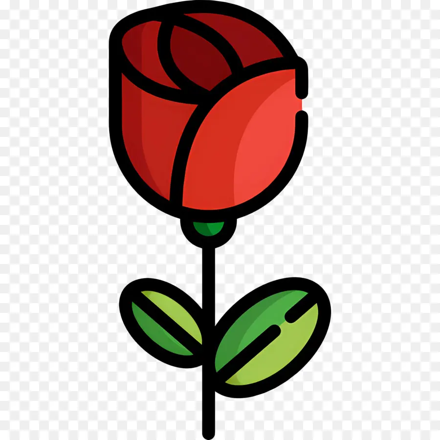 Flor Rosa，Rosa Vermelha PNG