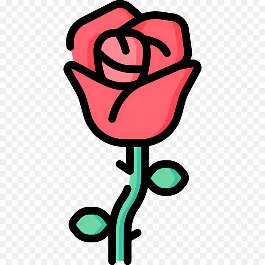 Flor Rosa，Rosa Vermelha PNG