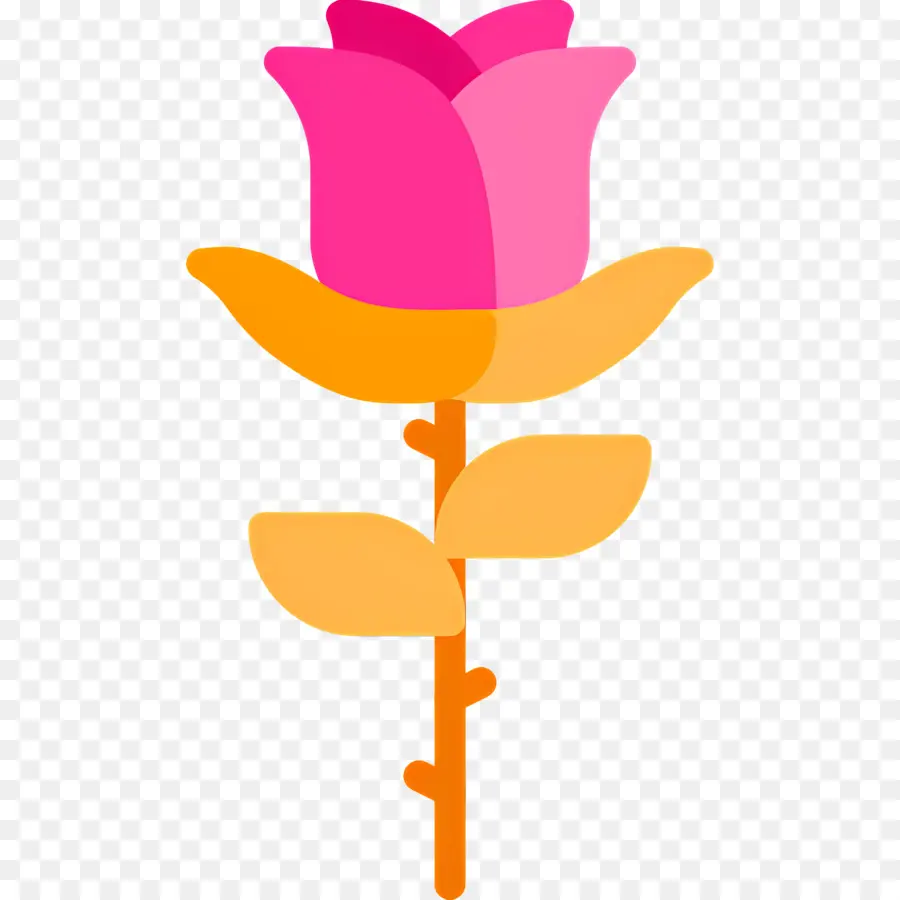 Flor Rosa，Plantar PNG