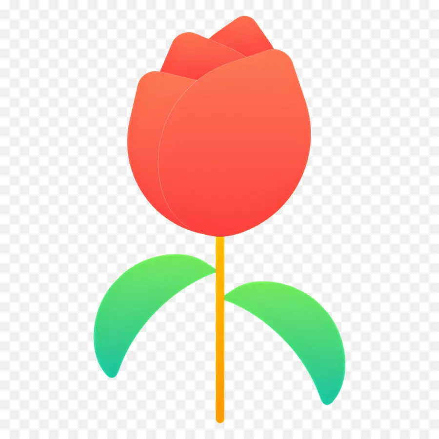 Flor Vermelha，Tulipa Vermelha PNG