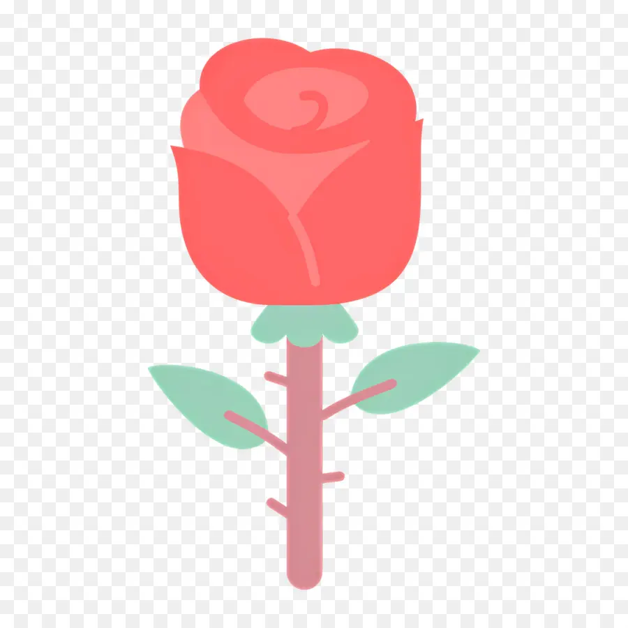 Flor Vermelha，Rosa Vermelha PNG