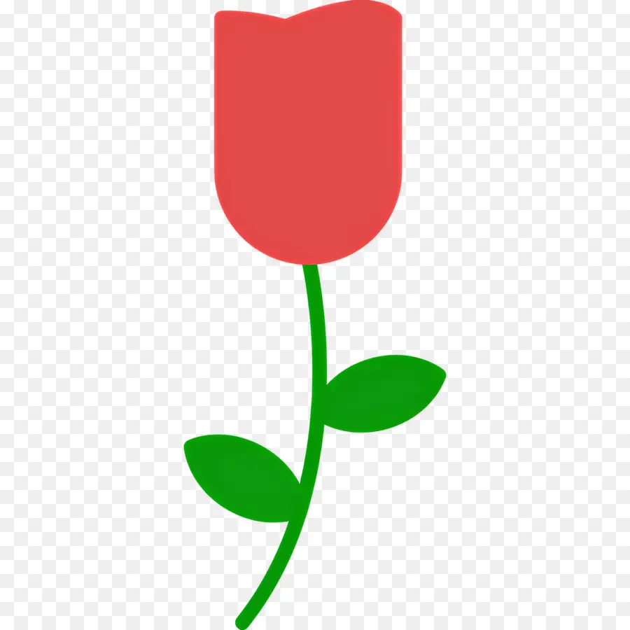 Flor Rosa，Rosa Rosa PNG