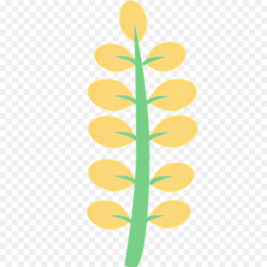 Flor Amarela，Caule De Planta Amarelo PNG