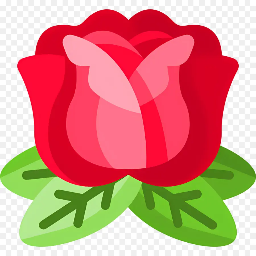 Flor Rosa，Rosa Vermelha PNG