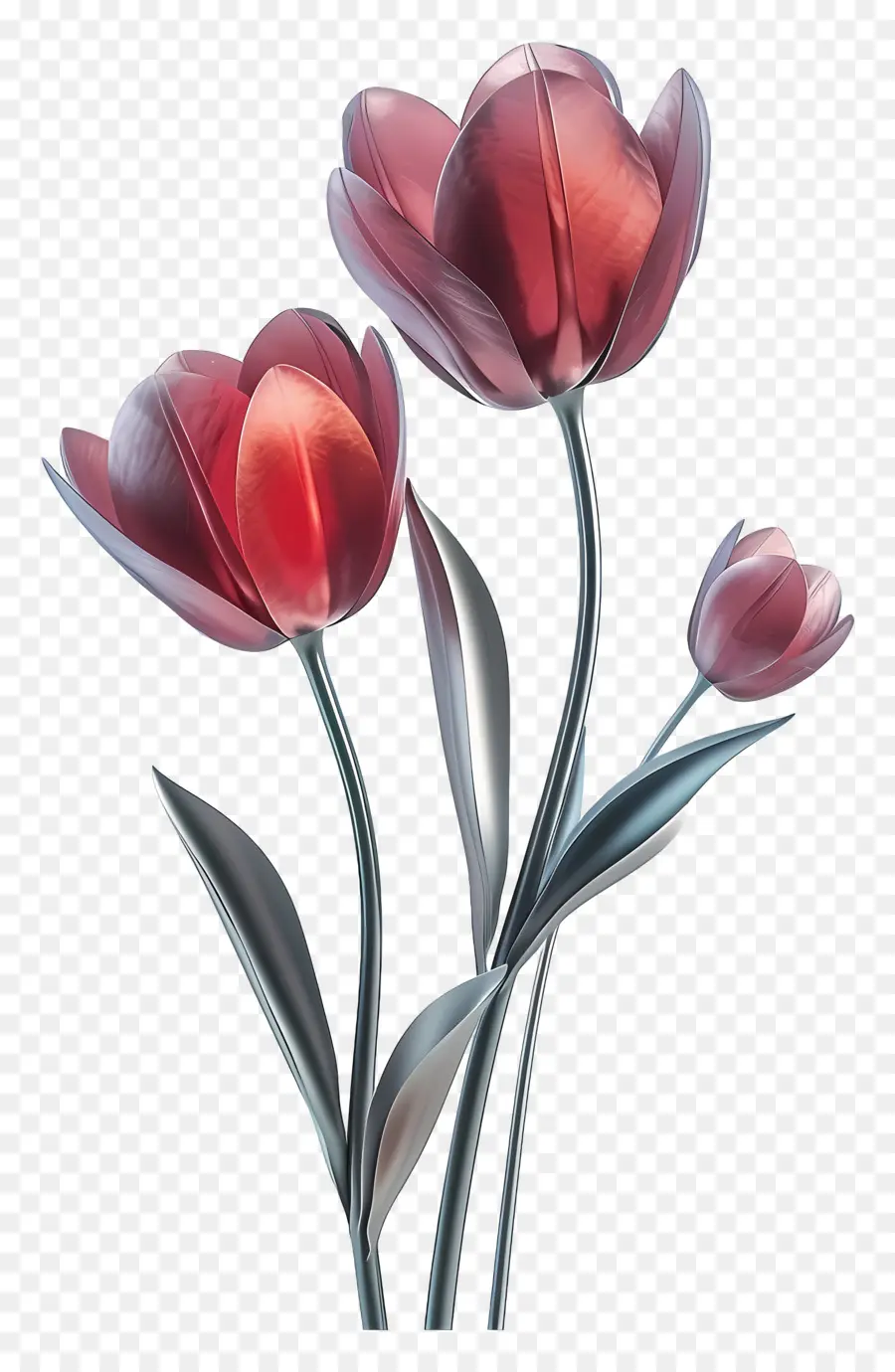 Flor Tulipa Modelo 3d，Flor Vermelha PNG