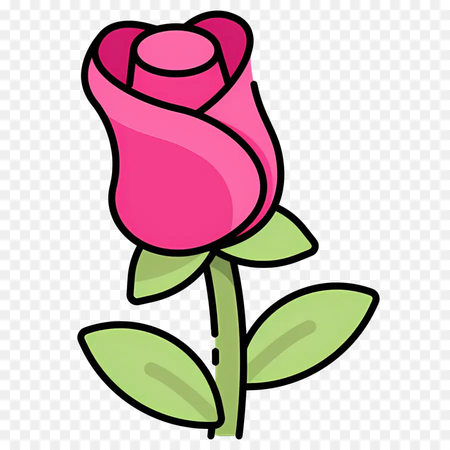 Flor Rosa，Rosa Vermelha PNG