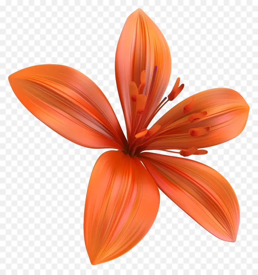 Flor De Açafrão Modelo 3d，Flor Laranjeira PNG