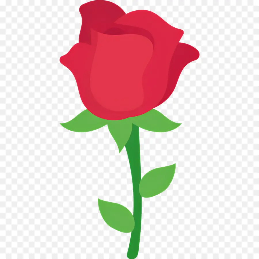 Flor Rosa，Rosa Vermelha PNG