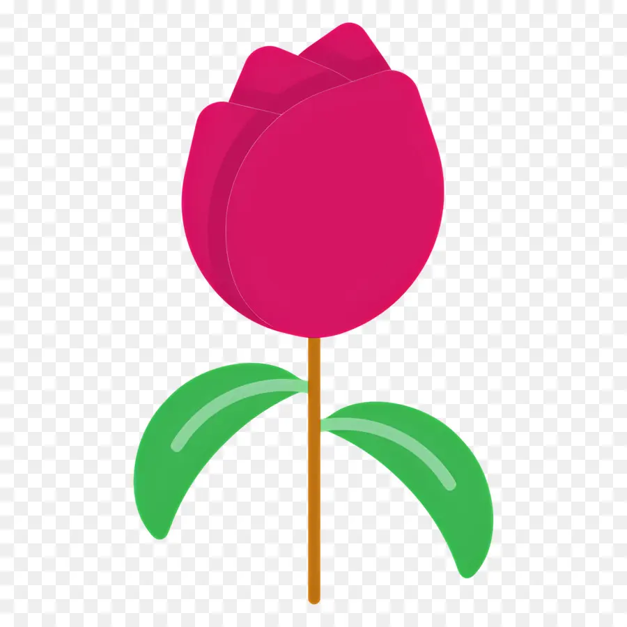 Flor Vermelha，Tulipa Vermelha PNG