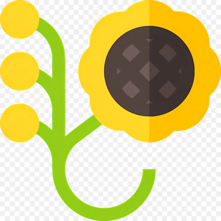 Videira De Flores，Girassol Amarelo PNG