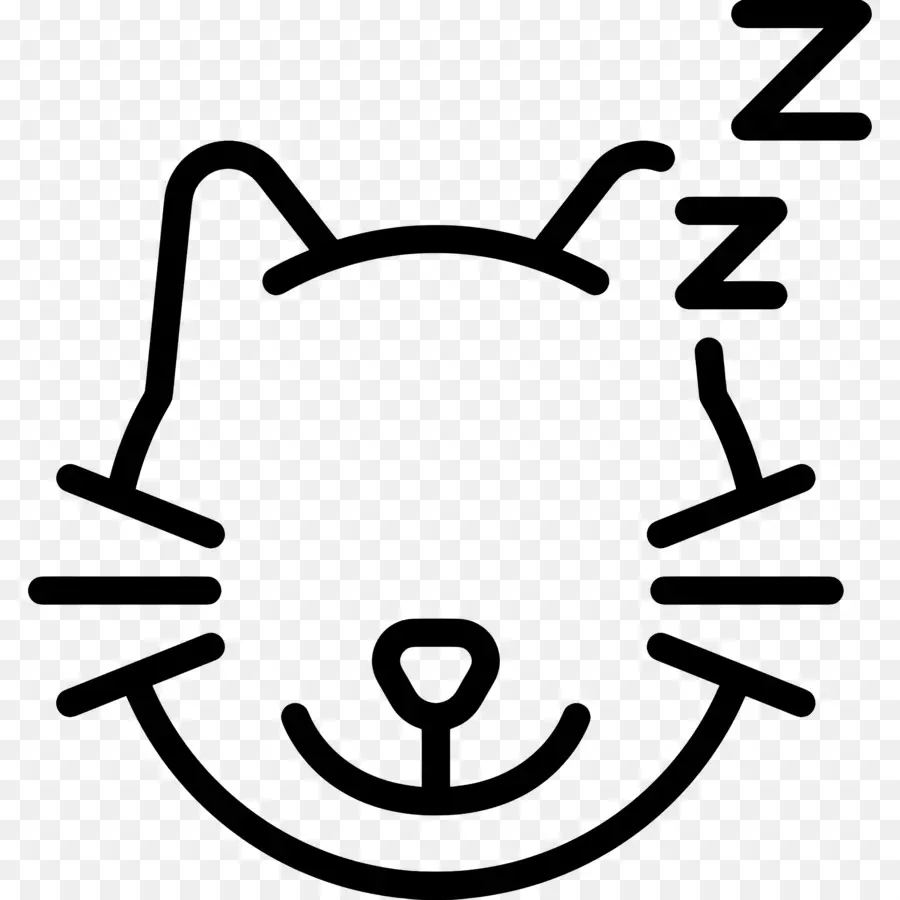 Gato Dormindo，Zzz PNG