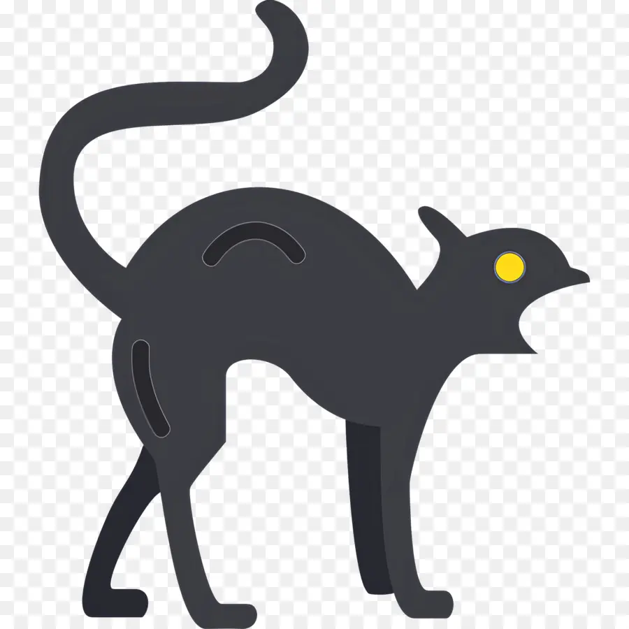 Gato Do Dia Das Bruxas，Gato Preto PNG